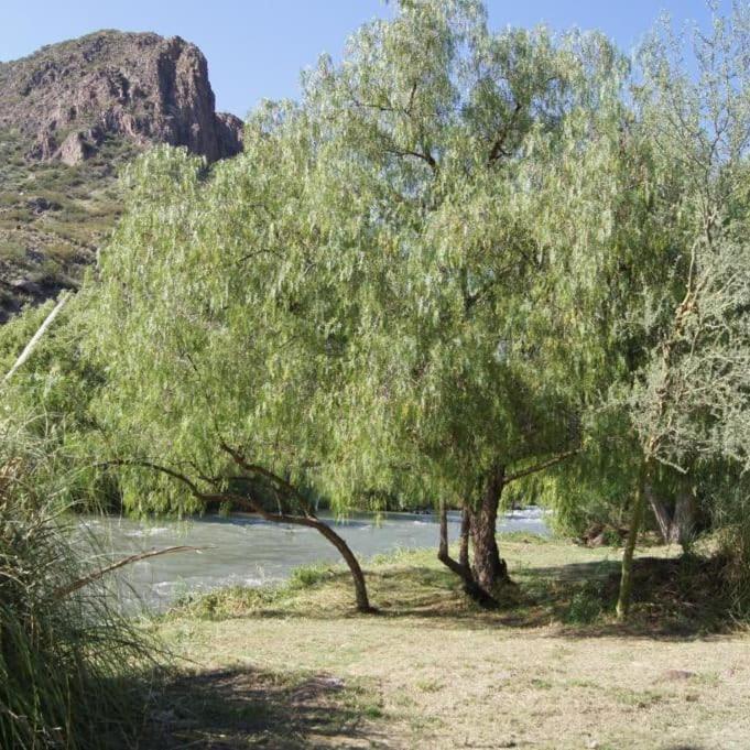 Cabaña La Verdicchio Urbanización Cristobal Lote 2 Valle Grande  Exterior foto